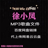 Restore Xu Xiaofeng Songs Permanent Files MP3 High-Quality Pop Music Upload Internet Yiyun Disk Can 