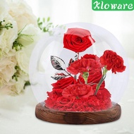 [Kloware] Glass Ball Shape Dome Crafts Valentines Day Decor Wedding Cloche