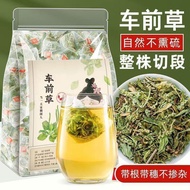 Plantago asiatica helps inhibit bacterial reproduction by making tea or water. Drink the dried Plant