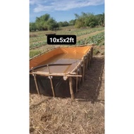 FISH TANK, AZOLLA POND, POOL STYLE