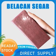 🔥Fresh Belacan Tanjung Dawai 500g Belaca Segar-Mr.JANG YU