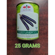 ✳♠Fortuner F1 (50 grams) Hybrid eggplant / Talong by East West Seed