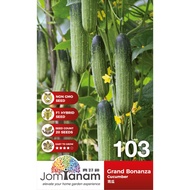 Cucumber Grand Bonanza JT-103 (20 seeds)