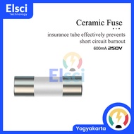 Zoyi Multimeter Fuse 600mA 250V 3.5x10mm