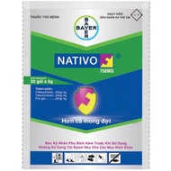 Nativo 750WG 10g