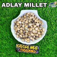 ADLAI SEED/ADLAY MILLET REPACK