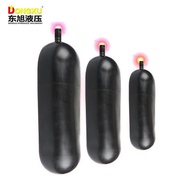 NXQ Capsule Cantonese Energy Storage Device Asahi Hydraulic Leather Capsule Energy Storage Device Di