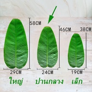 【Free-sun】 ใบตองปลอม  ใบตองเทียม ใบตอง สด ธรรมชาติ ใบตองพลาสติก ใบกล้วย Banana Leaf