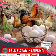 TELUR AYAM KAMPUNG ASLI