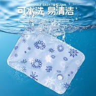 Pet Ice Pad Summer Cooling Dry Ice Gel Water Injection Pad Dog Ice Pad Cat Cool Pad Sleeping Pad
