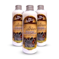 CAVIAR HORSE SHAMPOO ORIGINAL BPOM 250ml - CAVIAR SHAMPOO
