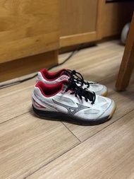 排球鞋羽毛球鞋