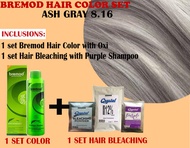 ASH GRAY - Bremod Hair Color Set