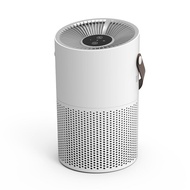 เครื่องฟอกอากาศในร่มใหม่ฆ่าเชื้อโคมไฟ uvc และกำจัดฟอร์มาลดีไฮด์บนโต๊ะเครื่องฟอกอากาศแอนไอออนสะดวก