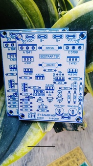 pcb micro bostrap tef