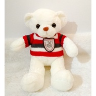 Shipping subsidy for J&T to 20K Bear Shirt doll (Free Clothes) Teddy Bear +- 35cm head to the feet
