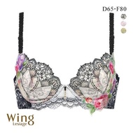 Wacoal Wing Lesiage PB2910 gentle fit bra (Sizes D-F)(40PB2910DF)(Direct from Japan)1