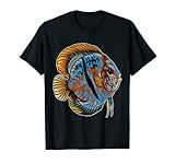 Heckel Discus Cichlid Aquarium Fish Keeping