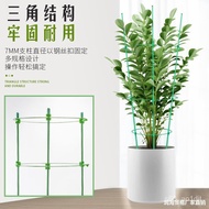 Climbing Vine Flower Stand Gardening Pillar Stand Balcony Green Radish Rose Wire Lotus Vine Plant Climbing Crab Claw Orc