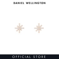 Daniel Wellington Mirelle Star Earring Rose Gold ต่างหูผู้หญิง