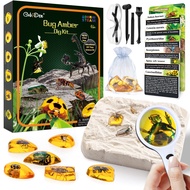 Amber Dig Kit-Artificial Insect Resin, Excavate 6 Insects Specimens, STEM Geographic Educational Bug