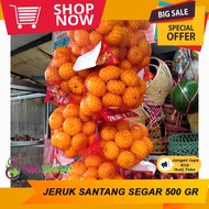 Buah Plum Segar 500GR 1 Kg Buah Mahal Kaya Manfaat DELIVERY PULAU JAWA Ada Juga PERSIMMON SPESIAL 2