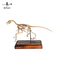 古生物3D列印模型-始祖鳥