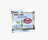 FEROMON FAW LURE pengendali efektif hama ulat tentara spodoptera frugiperda tanaman jagung