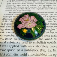 中國景泰藍1960-1970 藍地粉色牡丹銅胎掐絲琺瑯小盒 印泥盒