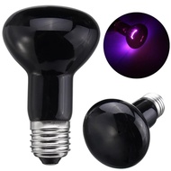 100w ExoCare Night Glo Moonlight -R