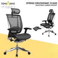 Spring Luxury Series Ergonomic Chair ★ Ergonomic Office Chair ★ Adjustable Lumbar Support ★ Easy Self Setup
