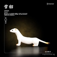 Popular children's ferret model, realistic animal toy, solid plastic wild Mediterranean ferret, blin