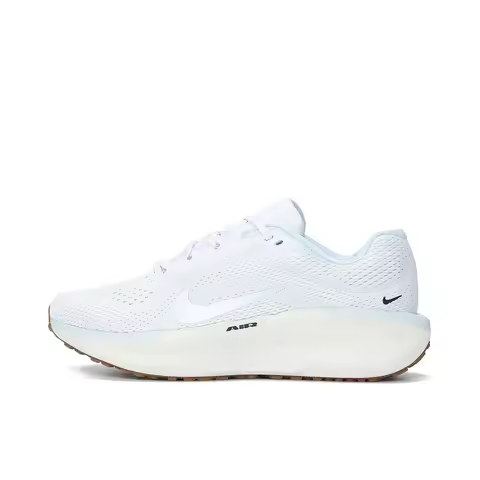 NIKE 2025 Men's NIKE AIR WINFLO 11 Running Sneakers FJ9509-106