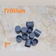 1" TRILLION pvc pipe cover/ cap
