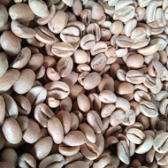 Ready Green Bean Biji Kopi Arabika Anaerob Halu Banana 1 Kg By Lulinha Store
