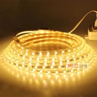 5730 LED Strip Light AC 220V Power Plug IP65 Waterproof