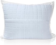 Queen Size Cooling Gel Pillow Protector - Zippered Cooling Pillow Case for Hot Sleepers, Effective Long Lasting Heat Relief