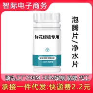 鲜花绿植专用泡腾片84消毒液养花杀菌鲜花植物园林插花卉切保鲜剂Effervescent tablets for flowers and plants, 84 disinfectant for nurt
