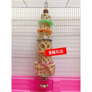 < North Station Bird Park > Amigo Amigo/Pali Polly's/Fun Cactus (Large)