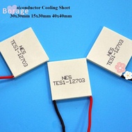 BORRAONE Semiconductor Cooling Sheet, 5 Styles 40x40mm Refrigeration Plate, High Quality TEC1-06303 