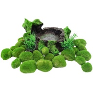 [Ready Stock] Fish Tank Aquatic Plant Living Ecological Bottle Seaweed Ball Aquarium Landscaping Dec