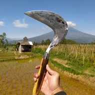 arit super tajam asli tidak mudah mleot arit rumput full baja isen anti gompal