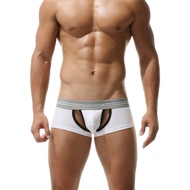 Men's Underwear Wholesale Sexy Men's Boxers Hollow Design Foreign Trade Underwear From Mx1011