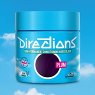 La Riche Directions Hair Dye Plum