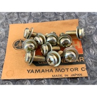 Yamaha DT RX Y80 YL Y Genuine Nut Number 8 Total 8 Pieces As Shown In The Picture.