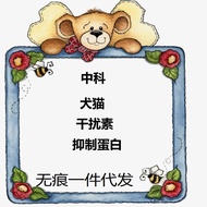 Protein Penghalang Interferon Rekombinan Kucing Zhongke Jili Peptida Menggalakkan Pengeluaran Sel Da