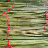 Bamboo Pole Grain Cucumber Bamboo Pole Rack Fine Melon, Fruit, Tomato and Vegetable Beans Vegetable 