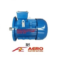 Electric Motor Aero 0.18Kw 0.25Hp 4P 1500Rpm 380V 3Phase 50Hz Ip55 B5