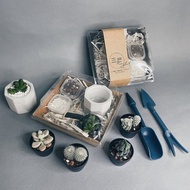 【DIY材料包】多肉植物水泥盆DIY禮盒 / 交換禮物 / 聖誕禮物