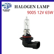 Car Headlight Lamp 9005 HB3 / 9006 HB4 12V 65W Light 5000K Coating Paint Halogen Bulb Glass Car Ligh